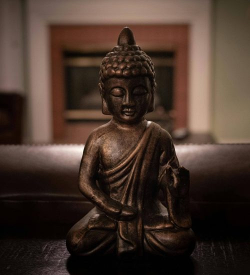 pexels-paperpeacock-1585716 (1)