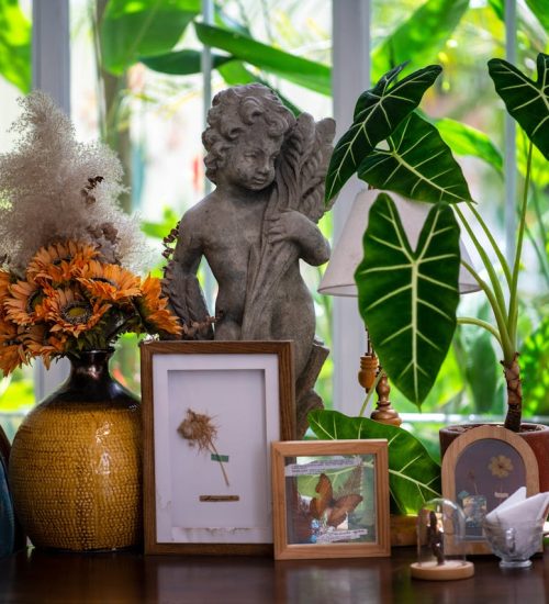 pexels-peterdanthy-32774622 (1)