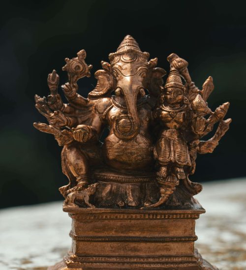 pexels-suhashanjar-33289447 (1)